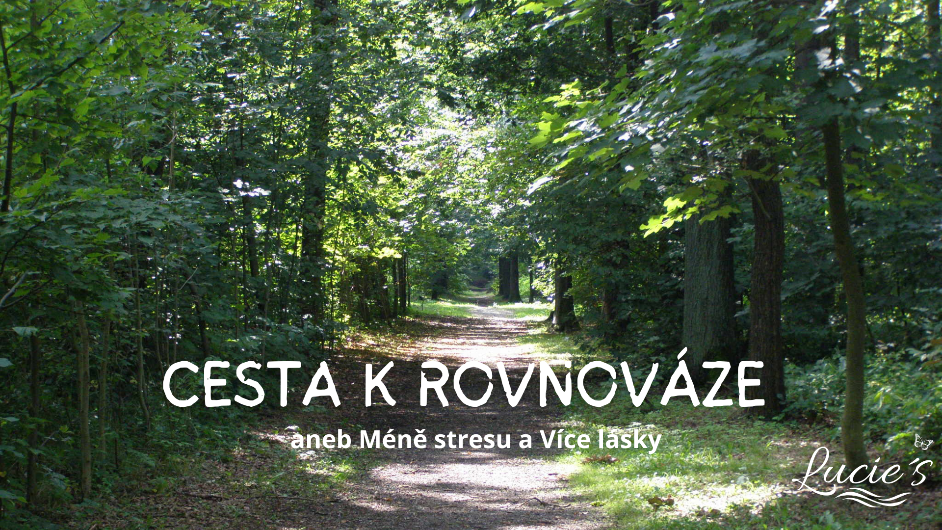 PŘEDNÁŠKY a KURZY